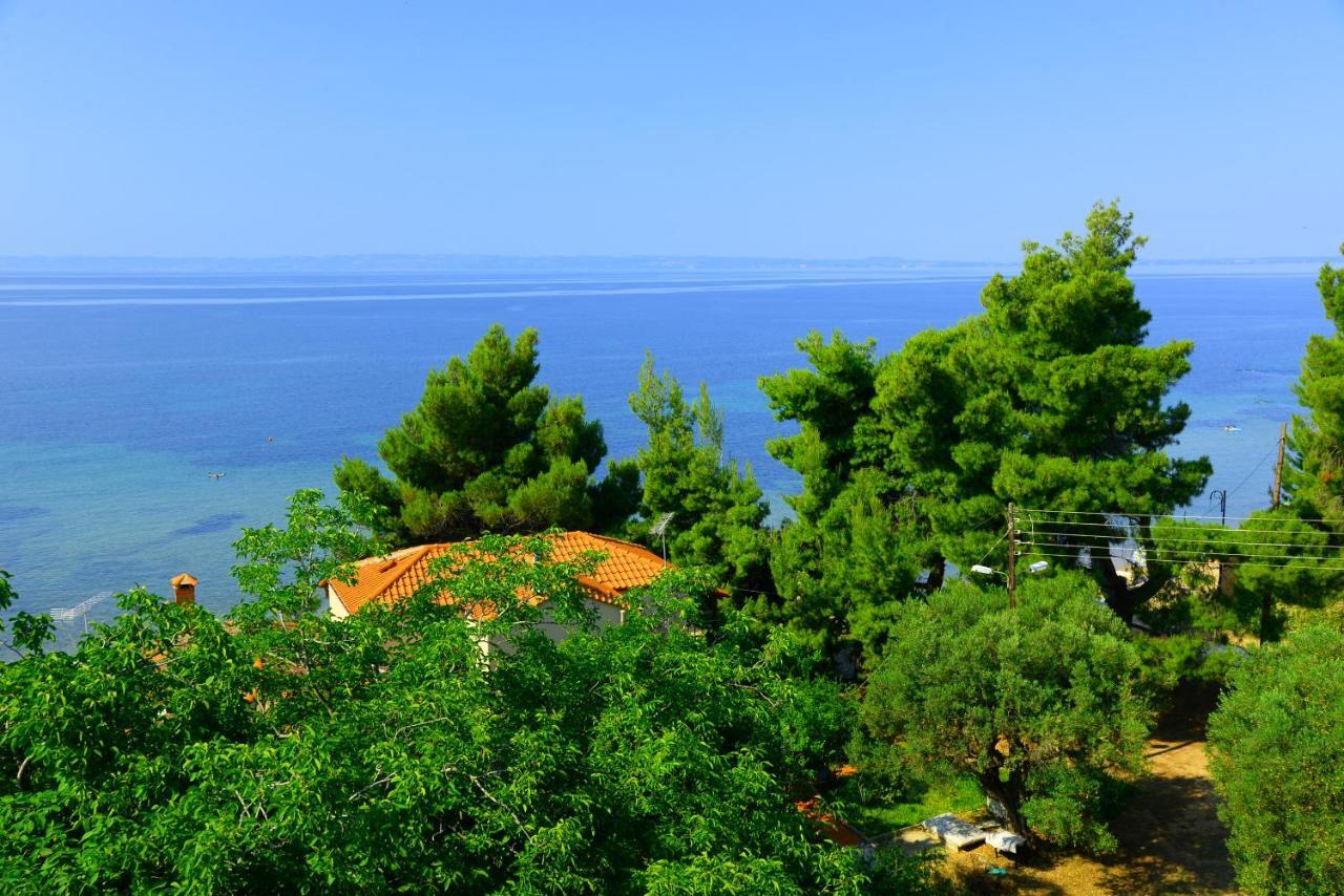 Golden Beach Hotel Μεταμόρφωση Εξωτερικό φωτογραφία
